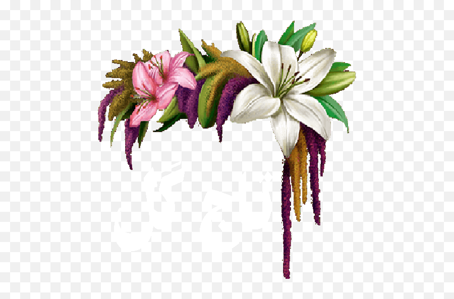 Flower Crown For Android - Download Cafe Bazaar Lily Flower Crown Png,Flower Crown Png