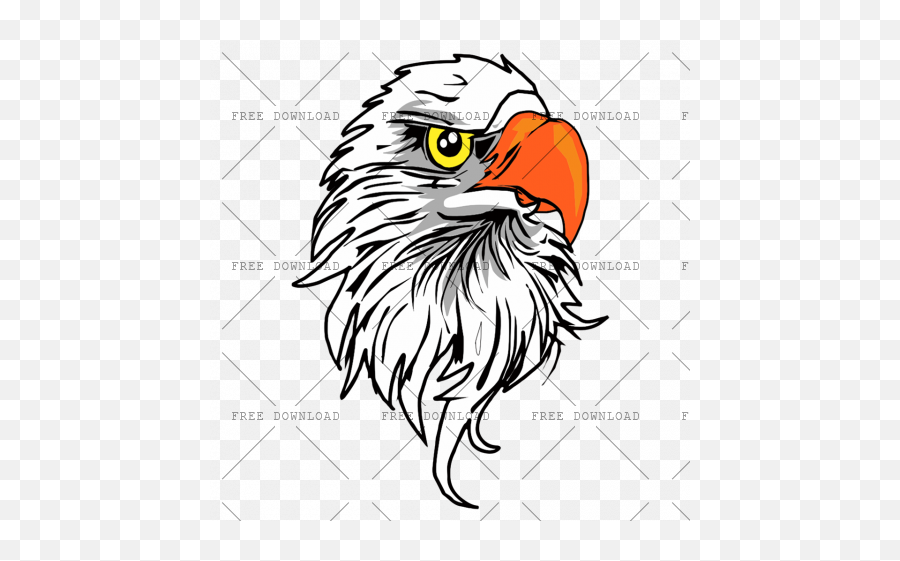 Eagle Hawk Kite Bird Png Image With Transparent Background - Bike Sticker On Head,Bald Head Png