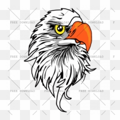 Eagle Hawk Kite Bird Png Image With Transparent Background - Bike Sticker On Head,Bald Head Png