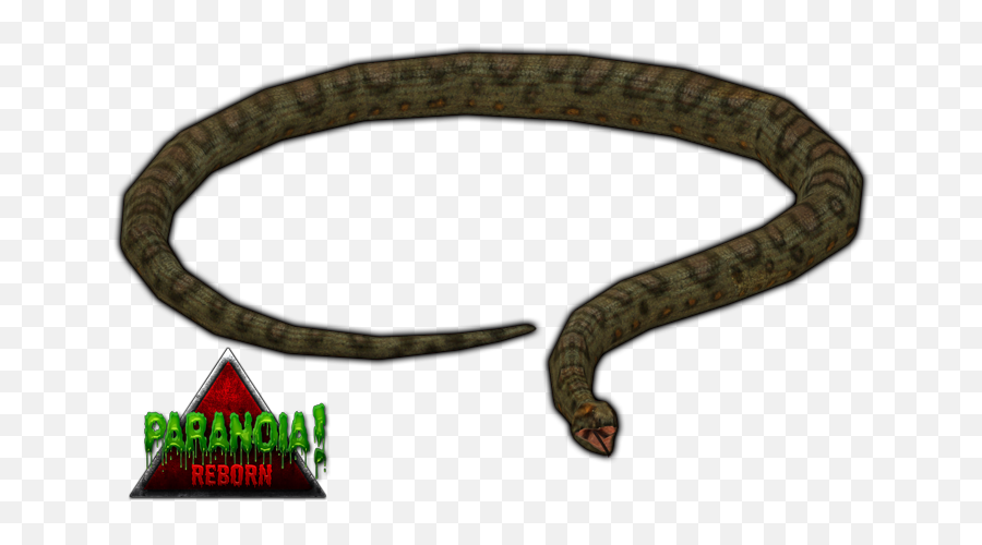 Png Transparent Anaconda - Zoo Tycoon 2 Snakes Pack,Anaconda Png