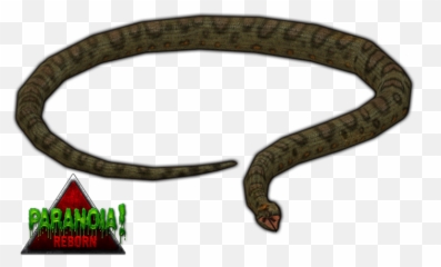 Png Transparent Anaconda - Zoo Tycoon 2 Snakes Pack,Anaconda Png