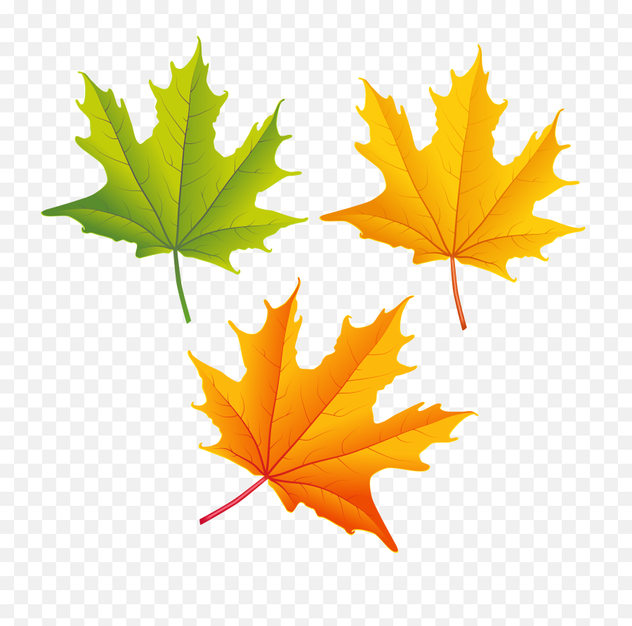 Autumn Leaf Png - Clip Art Fall Leaves Png,Leaves Clipart Png