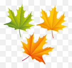 Autumn Leaf Png - Clip Art Fall Leaves Png,Leaves Clipart Png