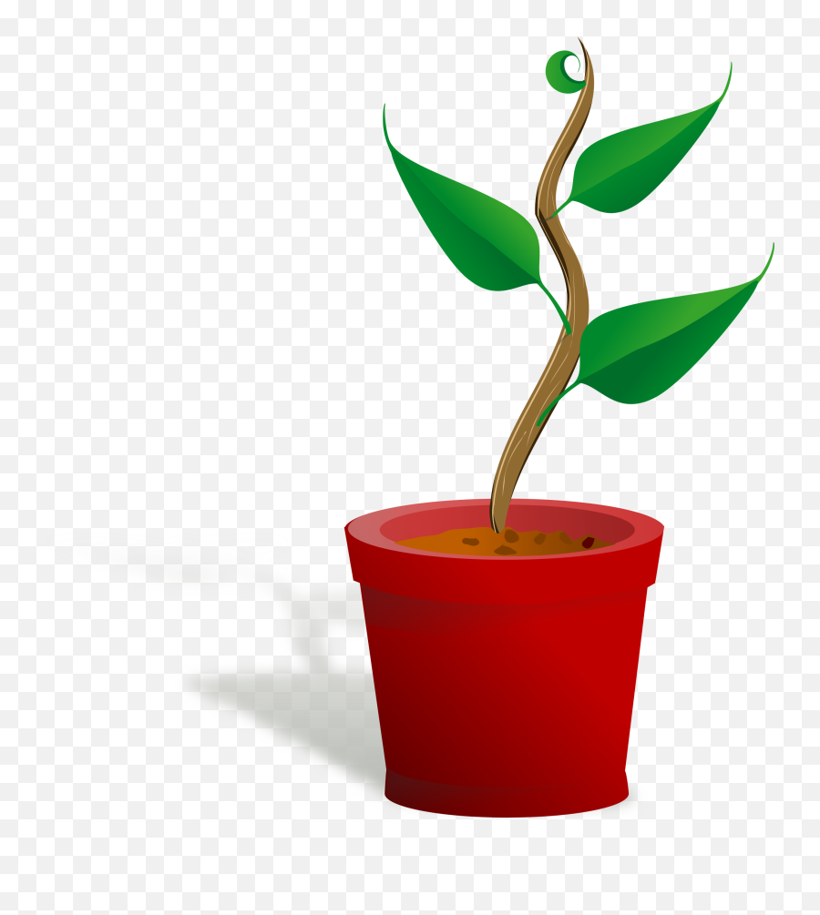 Plant Growing Gif Clipart - Plant Clip Art Png,Plant Transparent