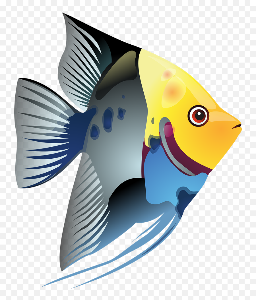 Tropical Fish Sea Exotic - Tropical Fish Clip Art Png,Tropical Fish Png