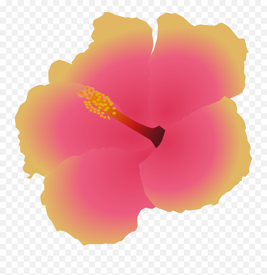 Download Big Image - Hawaiian Hibiscus Png Image With No Hawaiian Hibiscus,Hibiscus Png