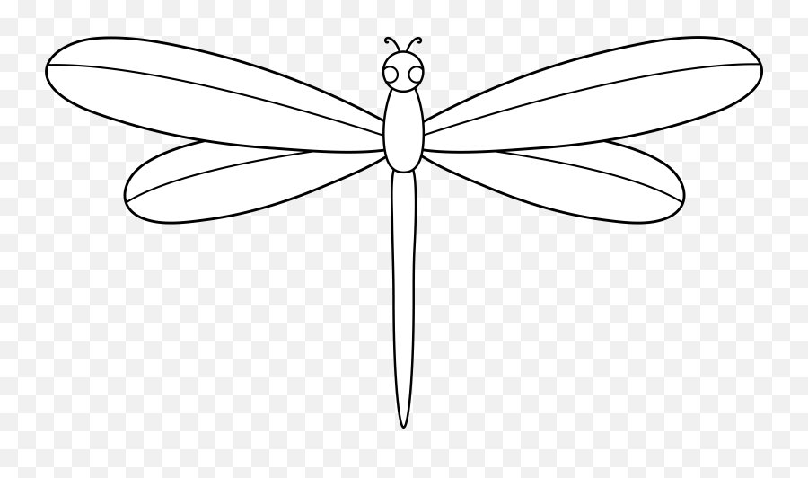Download Dragonfly - Dragonfly Cartoon White Png Full Size Dragonfly,Dragonfly Transparent Background