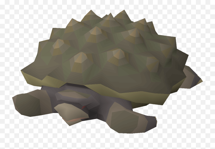 Tortoise - Osrs Wiki Tortoise Osrs Png,Tortoise Png