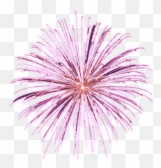 Download Free Animated Fireworks Gifs Clipart And - Transparent Background png
