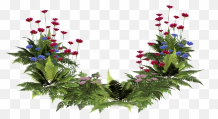 Water Plant Png Picture - Flower Plants Transparent