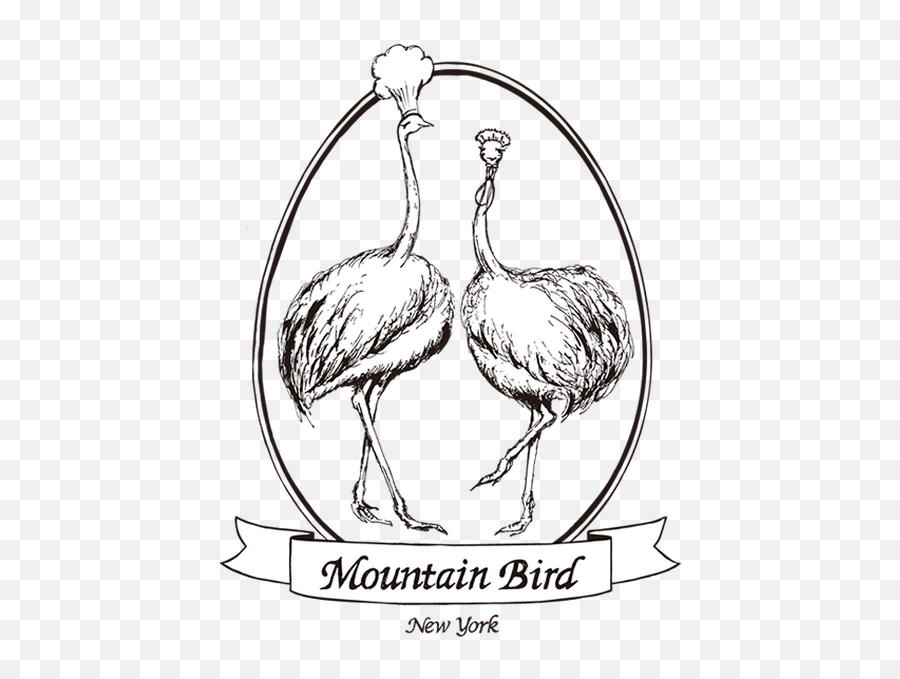 Mountain Bird U2014 Tastings Bespoke Catering U0026 Events - Flightless Bird Png,Mountain Drawing Png