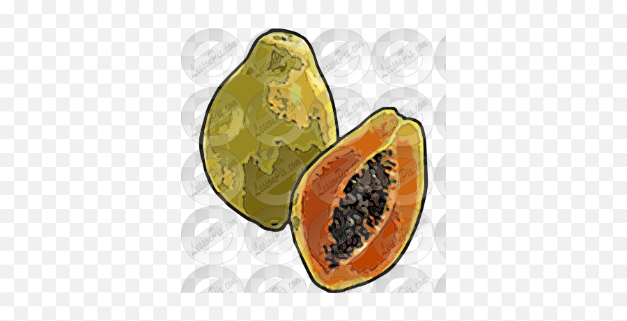 Papaya Picture For Classroom Therapy Use - Great Papaya Papaya Fruit Png,Papaya Png