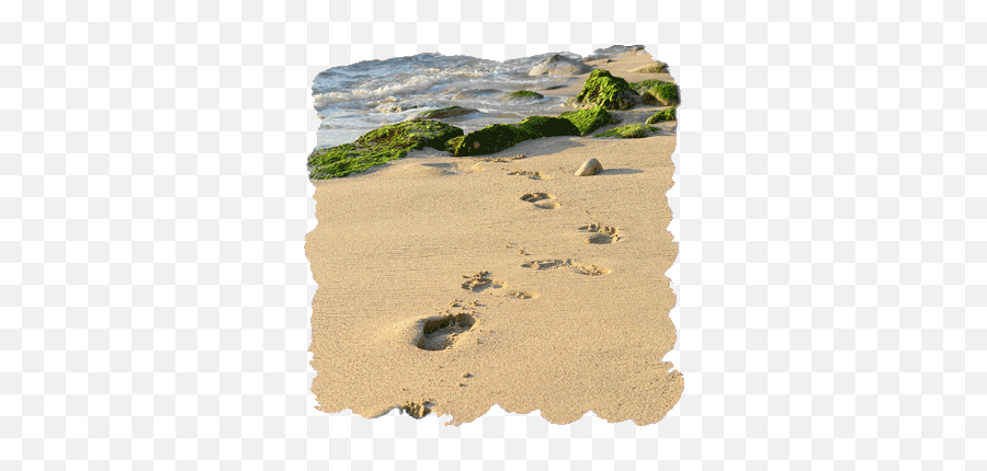Journey Footprints In The Sand - Footprints In The Sand Png,Sand Transparent
