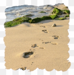 Journey Footprints The Sand - In The png