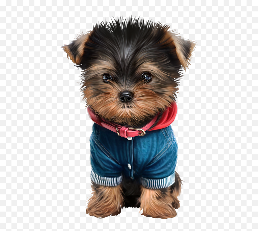 Head Clipart Yorkie - Chiens Dog Puppies Png,Yorkie Png