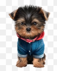 Head Clipart Yorkie - Chiens Dog Puppies Png,Yorkie Png