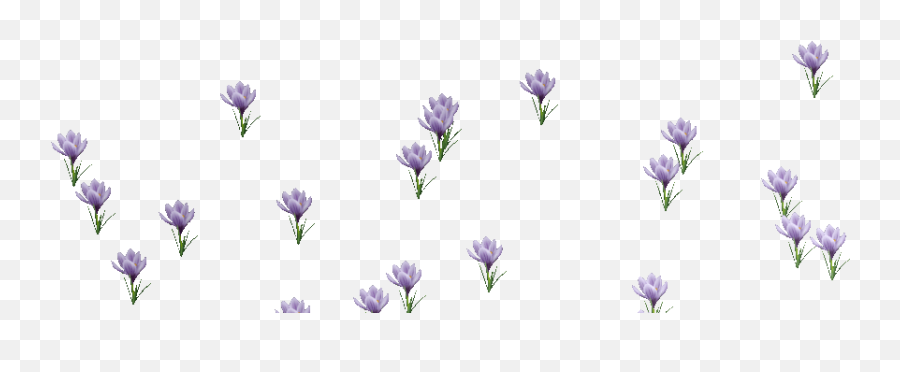 Download Gif Transparent Background Png U0026 Base - Animated Flowers  Blooming Gif,Gifs Transparent Background - free transparent png images -  