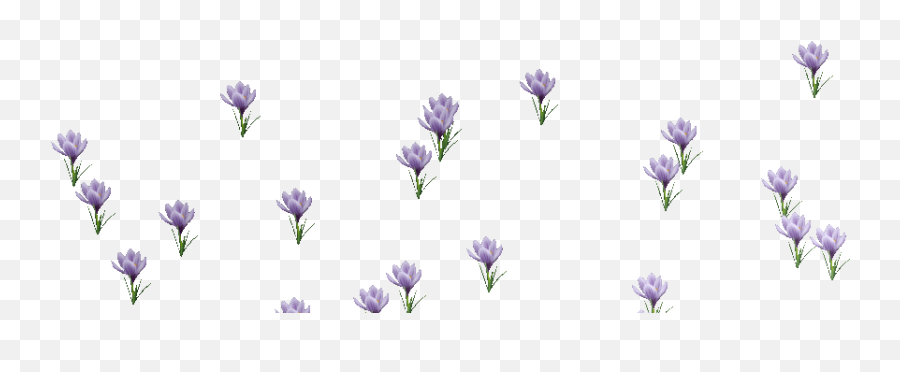 Download Gif Transparent Background Png U0026 Base - Animated Flowers Blooming Gif,Gifs Transparent Background