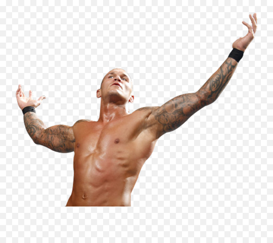 Wwe Randy Orton Raising Hands - Randy Orton Rko Png,Raised Hands Png