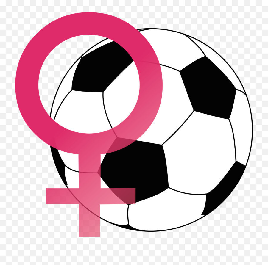 Womenu0027s Association Football - Wikidata Soccer Ball Png,Quora Icon