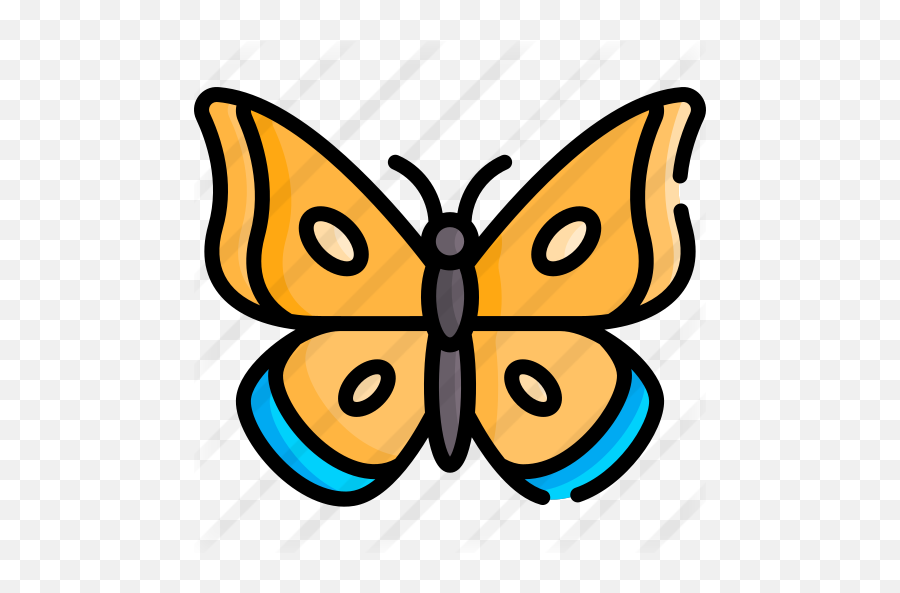 Butterfly - Girly Png,Butterfly Icon Image Girly