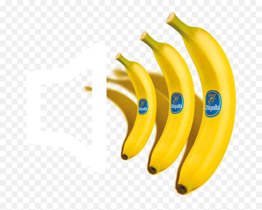 Chiquita Brand Story Who Is Miss Bananas - Ripe Banana Png,Bananas Icon