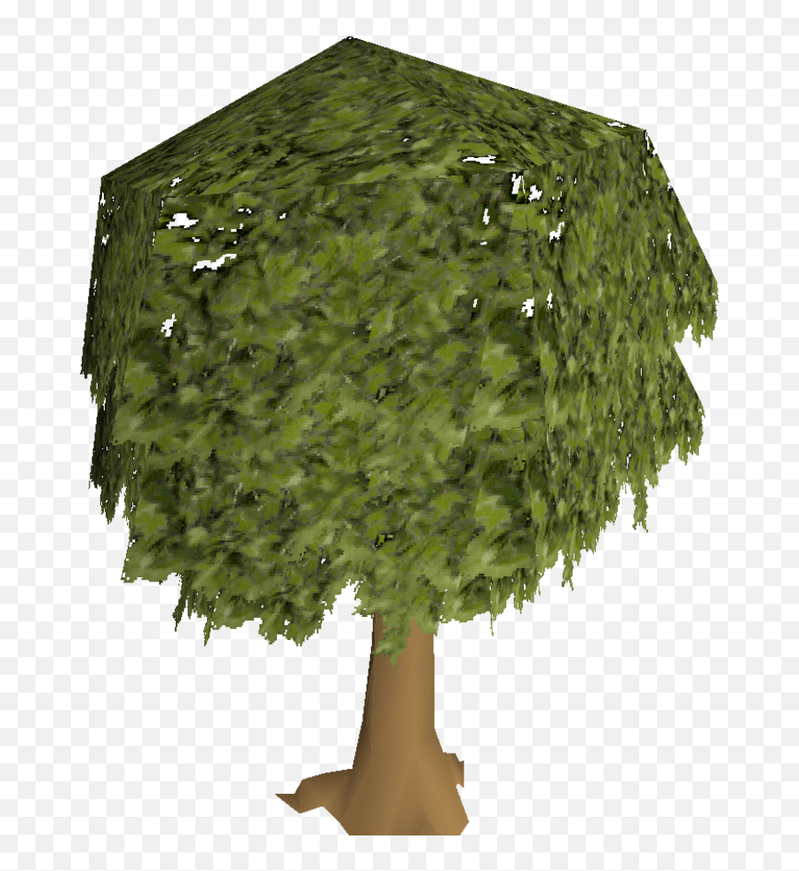 Oak Tree Old School Runescape Wiki Fandom - Old School Runescape Tree Png,Tree From Above Png