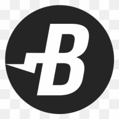 Download Icon - Burst Coin Full Size PNG Image PNGkit Burstcoin Logo