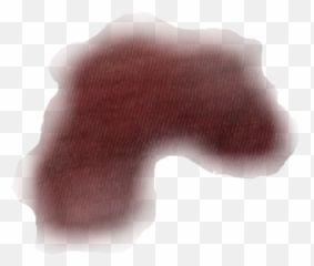Blood Bloody Bleed Bleeding Bloodstain Stained - Illustration png