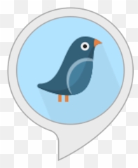 Amazoncom Twitter Reader Alexa Skills - Bird Svg png
