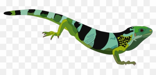Iguana Reptile Green - Green Iguana Png,Iguana Png