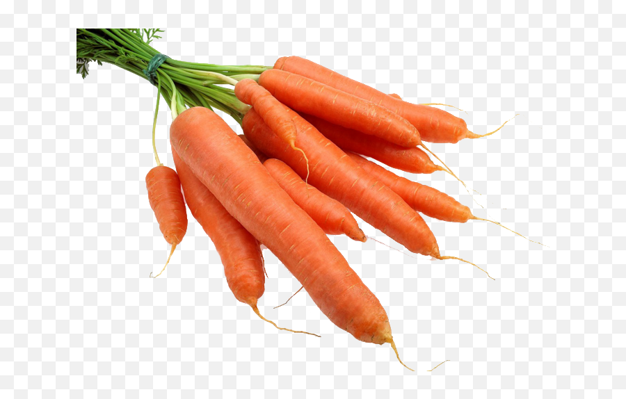 Carrot Radish Gratis - Bunch Of Carrots Png,Carrots Png
