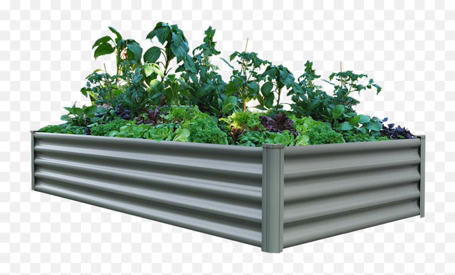 The Organic Garden Co 200 X 100 41cm Raised Rectangle - Bunnings Raised Garden Bed Png,Flower Bed Png