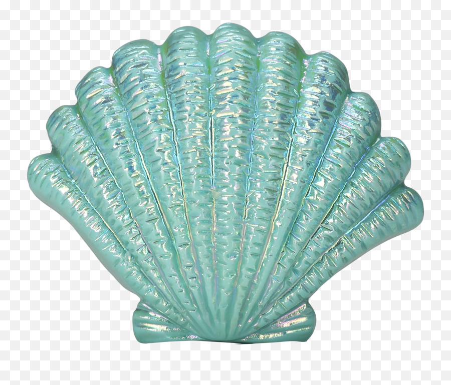 Esther Receives A Makeup Bag As One Of The Perks Her - Blue Seashell Transparent Png,Shell Png