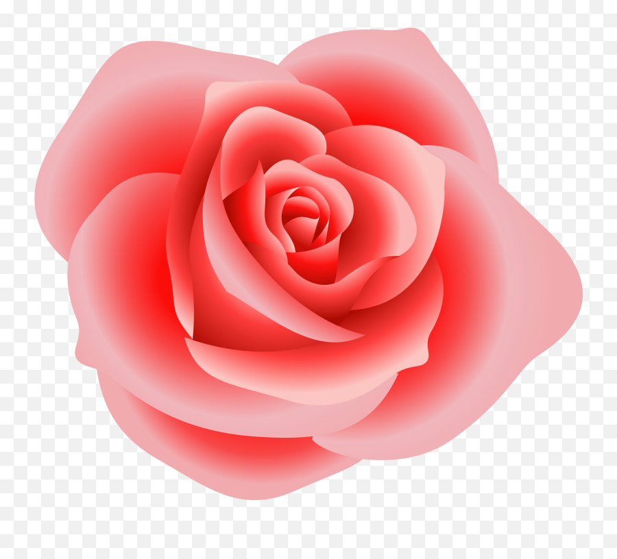 Head Clipart Rose Transparent Free For Download Png