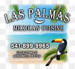 Las Palmas Back 14x14 200dp By Mobileartdept Inktale - Toucan Png,Palmas Png