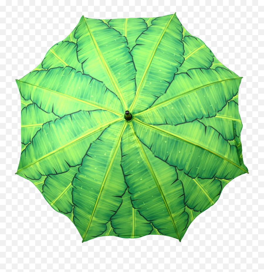 Umbrella Banana Leaves - Esschert Design Ombrelli Fatti Con Foglie Png,Banana Leaf Png