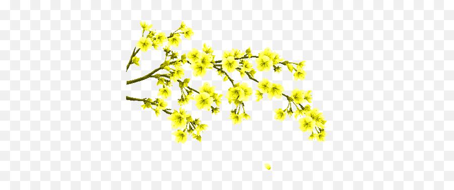 Yellow Flower Branche Gif Jaune Fleurs - Alyssum Png,Yellow Flower Transparent
