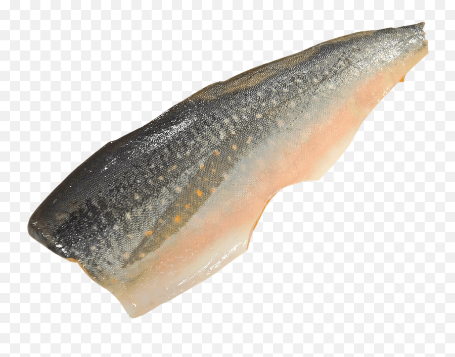 Salmon Transparent Png - Stickpng Transparent Fish Fillet White Background,Salmon Png