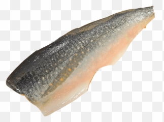 Salmon Transparent Png - Stickpng Transparent Fish Fillet White Background,Salmon Png