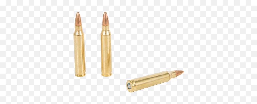 Non Standard Ammunition - Gun Auction Other Ammo At Ammunition For Rifle Png,Shotgun Shell Png