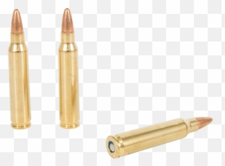 Non Standard Ammunition - Gun Auction Other Ammo At Ammunition For Rifle Png,Shotgun Shell Png