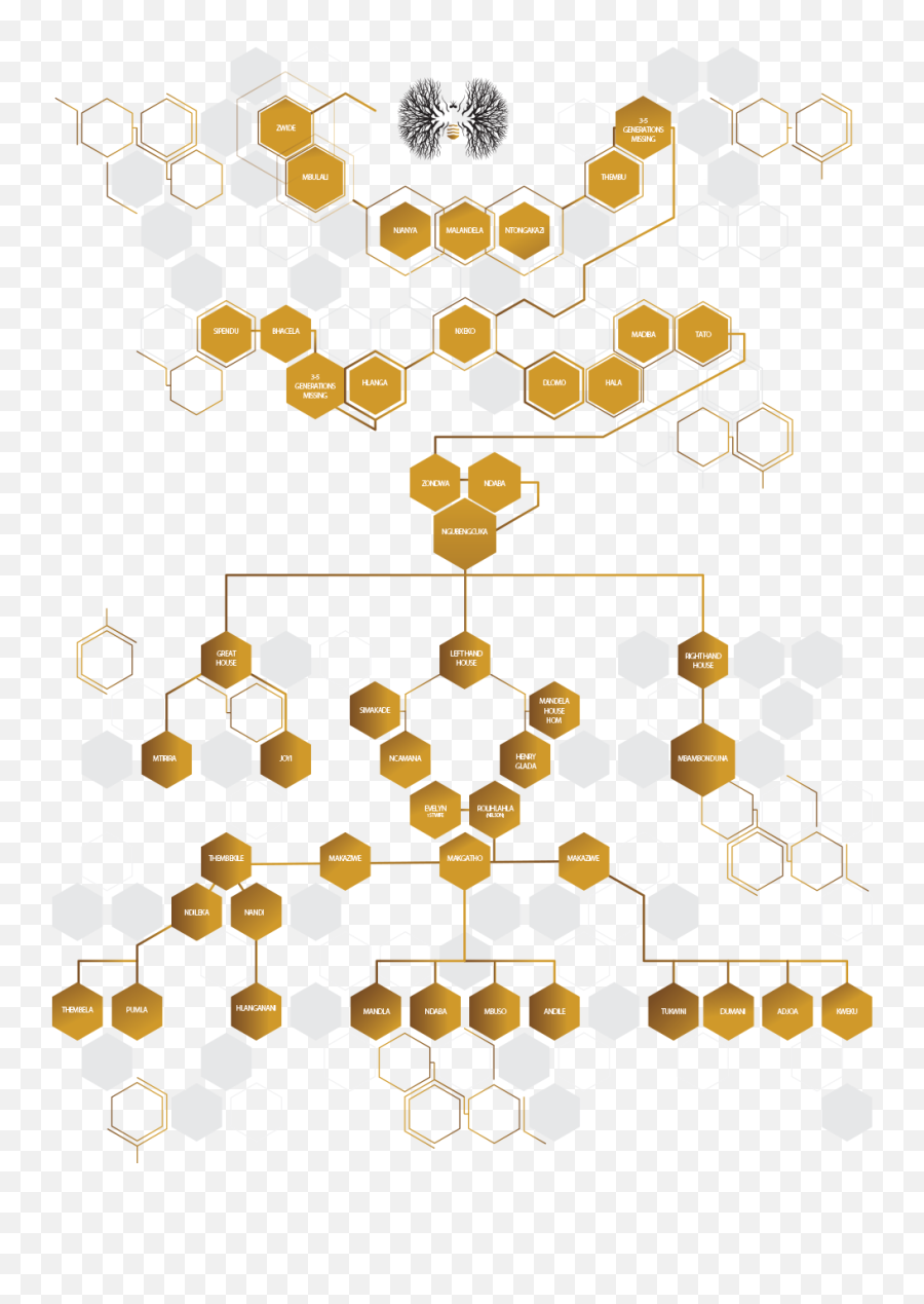 Download Global Citizen - Nelson Mandela Family Tree Full Clip Art Png,Nelson Mandela Png