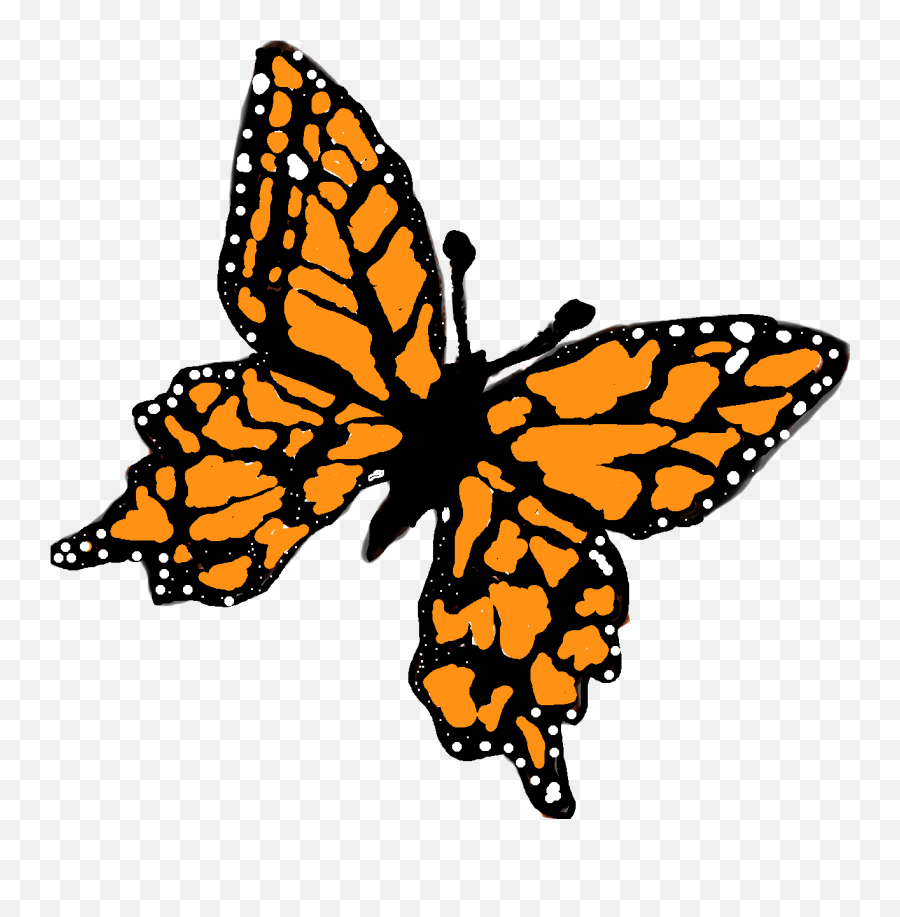 Monarch Butterfly - Utterfly Transparent Png Original,Monarch Png