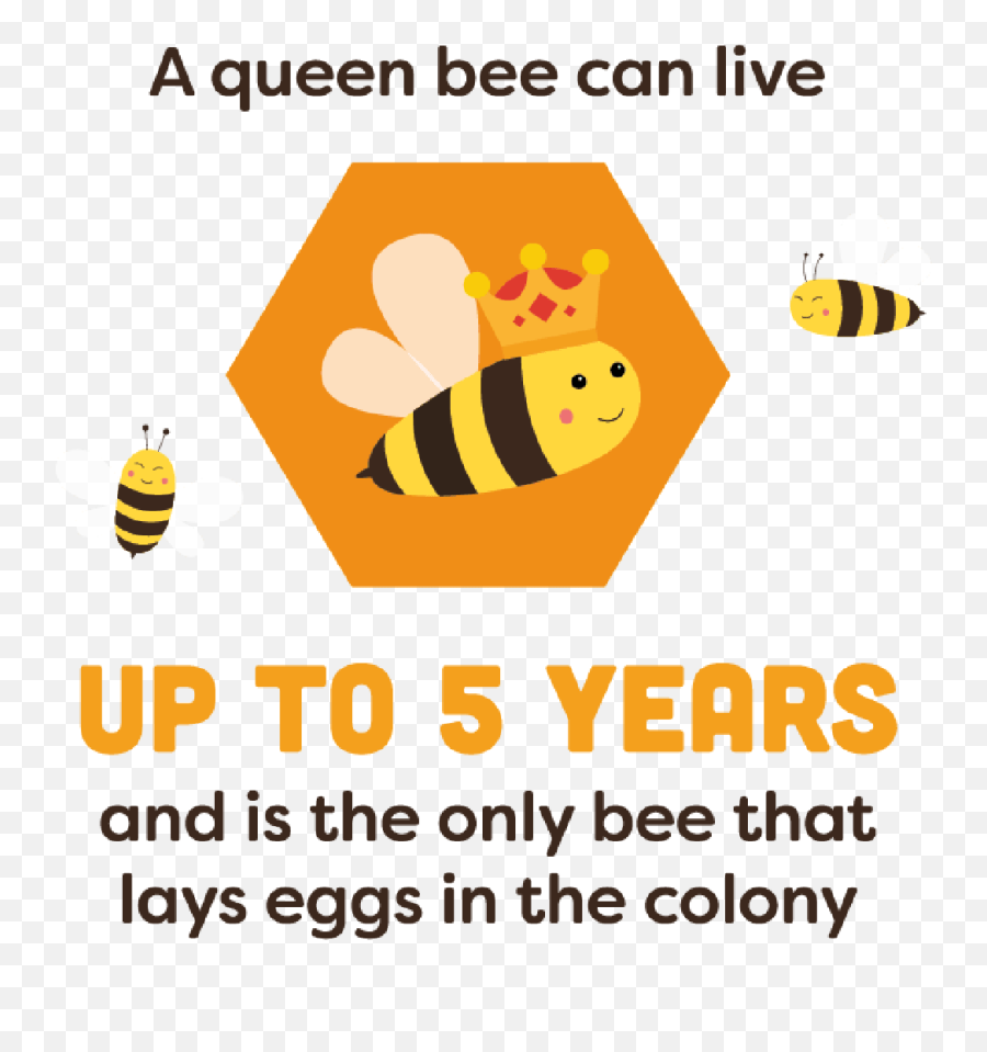 Just Bee Cause - Language Png,Bee Hive Png