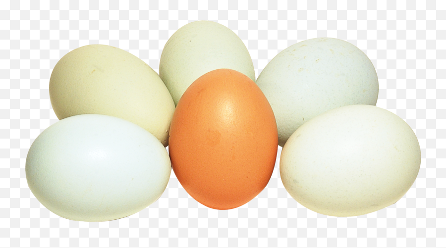 Eggs Clipart Salted Egg Png
