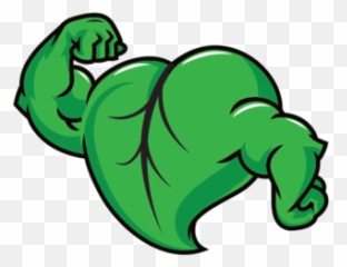 About Us Muscle Garden - Fictional Character png