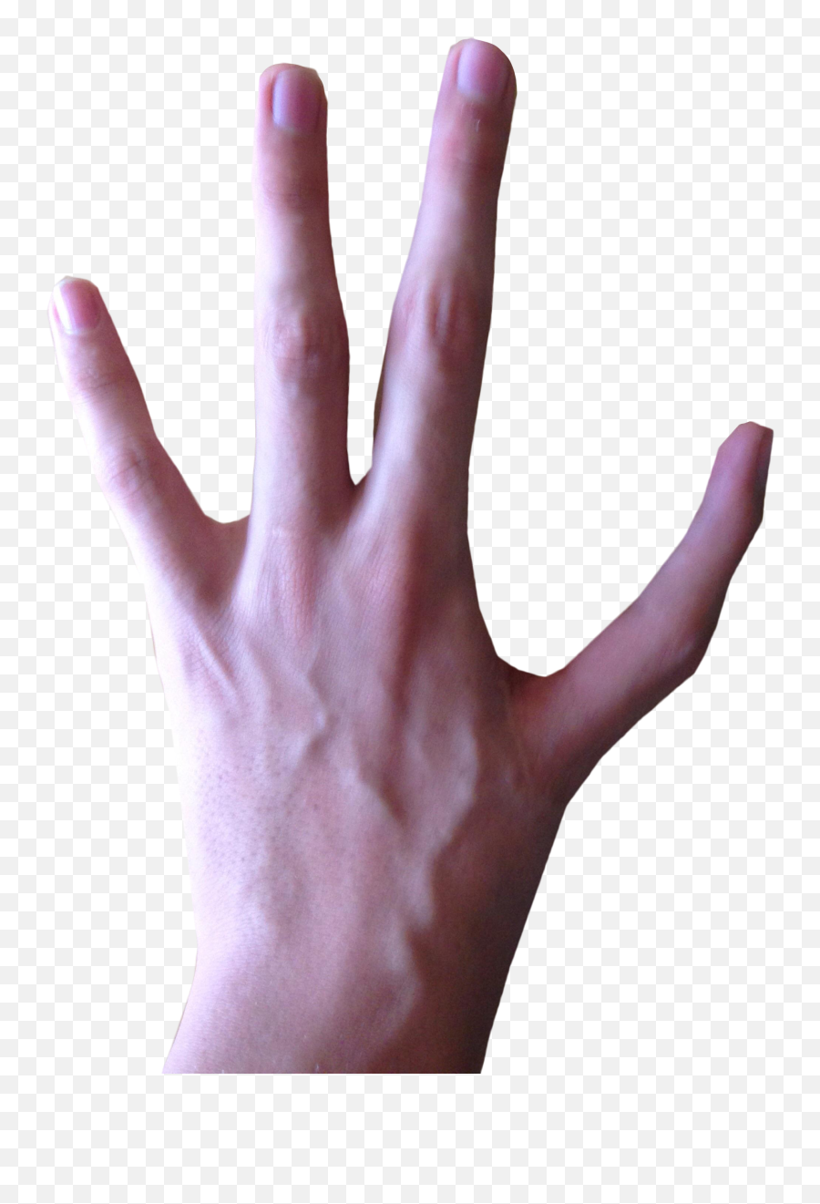 Library Of 4fingers - 4 Fingered Hand,Hand Transparent Png