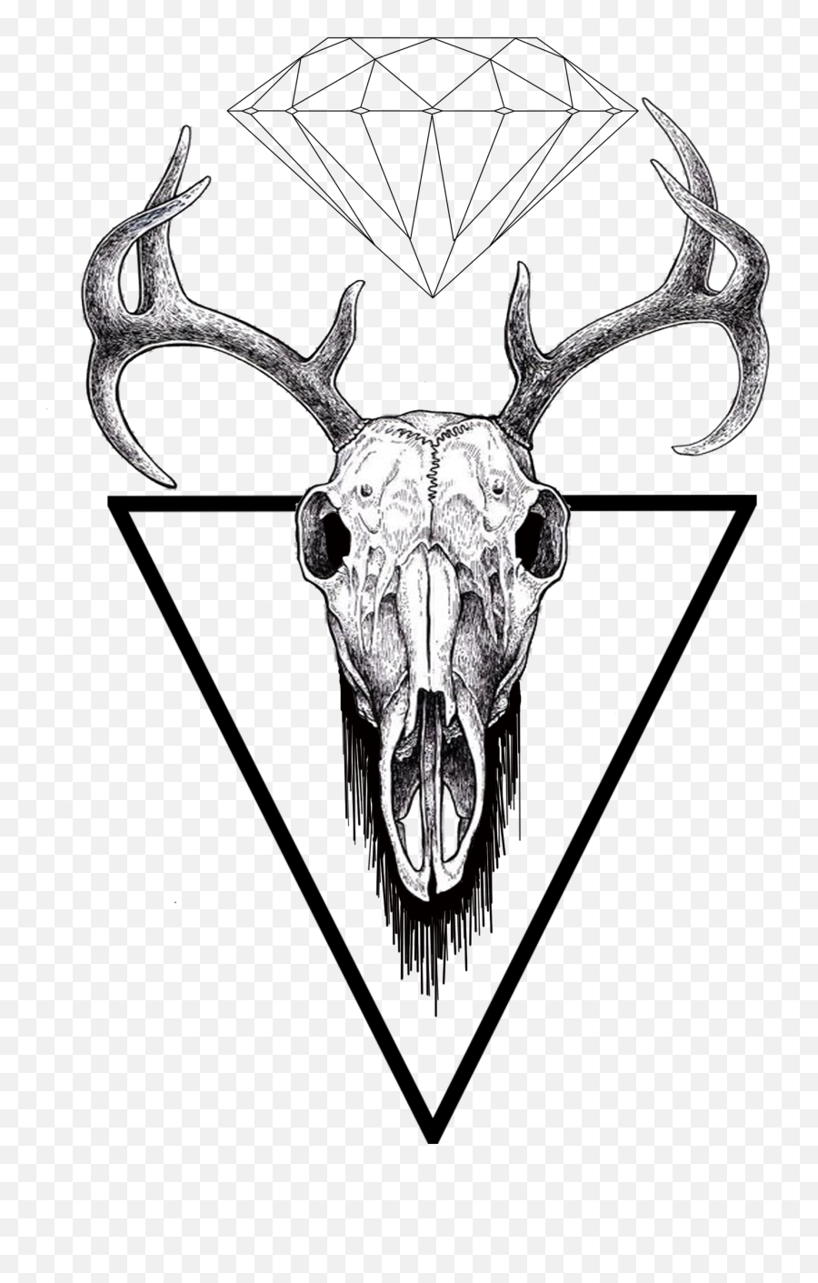 Facebook - Skull Drawing Stag Png,Facebook Skull Icon