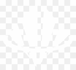 Skybeam Capital - Language png